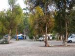 Gladstone Caravan Park - Gladstone: Camp area