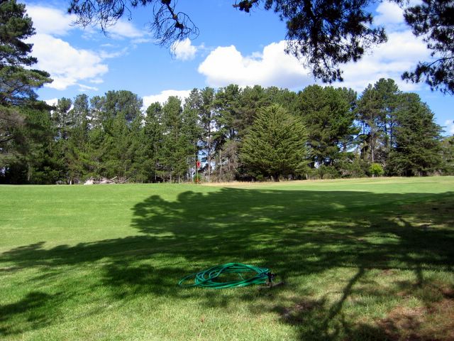 Glen Innes NSW - Glen Innes: Glen Innes NSW: The Golf Course has many beautiful greens and trees