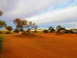 Glendambo Outback Resort - Glendambo: Powered Sites.