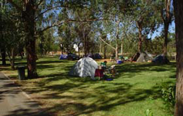 River Gardens Tourist Park - Gol Gol: Area for tents and camping