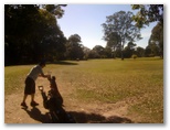 Tally Valley Public Golf Course - Elanora Gold Coast: Fairway view on Hole 8.