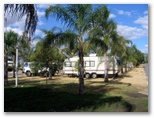 Gundy Star Tourist Van Park 2005 - Goondiwindi: Powered sites for caravans among beautiful palm trees
