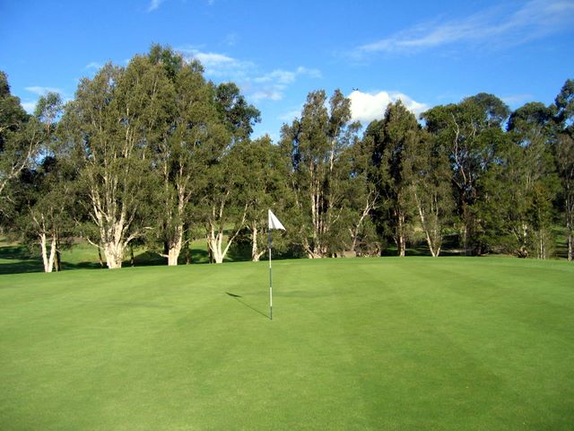 Gordon Golf Course - Gordon Sydney: Green on Hole 5