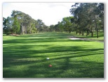 Gordon Golf Course - Gordon Sydney: Fairway view Hole 5