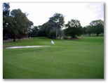 Gordon Golf Course - Gordon Sydney: Green on Hole 8