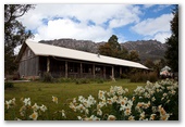 Gowrie Park Wilderness Village - Gowrie Park: Backpacker accommodation