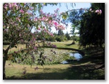 The Gateway Village - Grafton: Beautiful gardens throughout the park