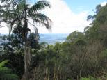 Heffrons Lookout - Cangai: View from the lookout. 