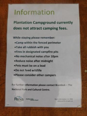 Plantation Campground - Halls Gap: You can camp here for free.