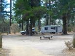 Plantation Campground - Halls Gap: Caravans and RV's are welcome.