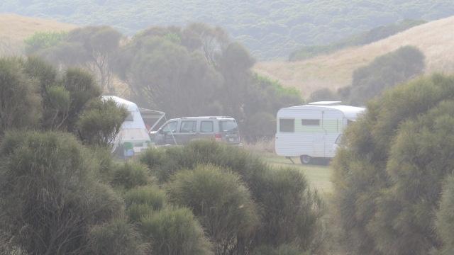 Johanna Beach Campground - Great Otway National Park: Plenty of campsites but not many level sites.