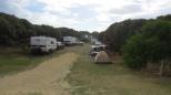 Johanna Beach Campground - Great Otway National Park: Plenty of caravan bays.