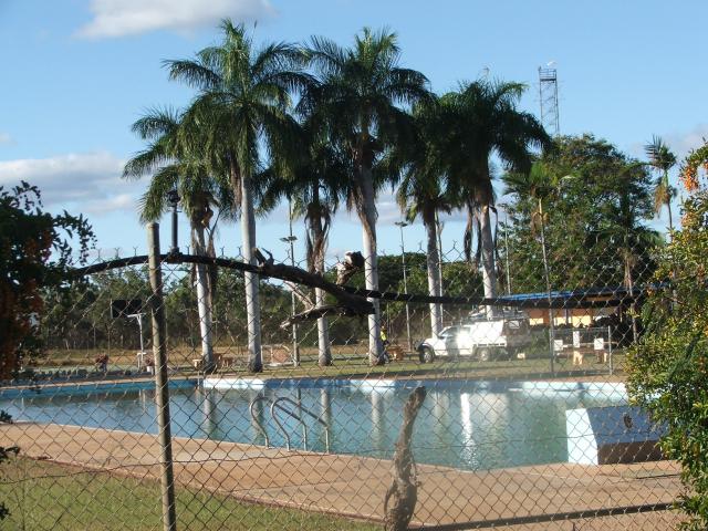 Greenvale Caravan Park and Cabins - Greenvale: Town swimming pool