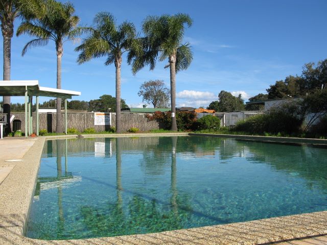 Coral Tree Lodge - Greenwell Point: Swimming pool