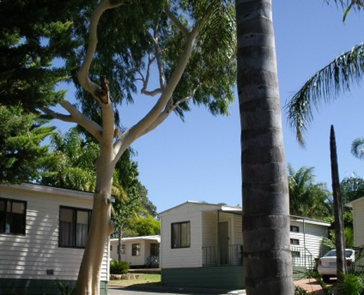 Karrinyup Waters Resort - Gwelup: There are many large trees within the resort.