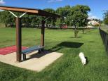 Gympie Caravan Park - Gympie: off leash dog park
