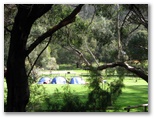 Halls Gap Caravan Park - Halls Gap: Area for tents and camping