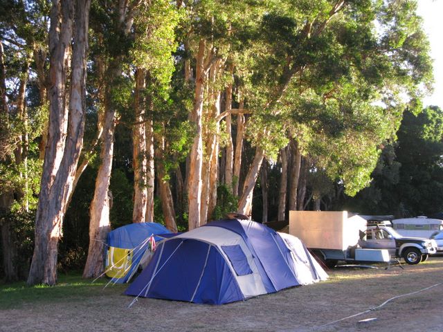 BIG4 Harrington Beach Holiday Park - Harrington: Area for tents and camping