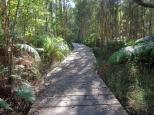 BIG4 Harrington Beach Holiday Park - Harrington: Board walk at Cattai wetland