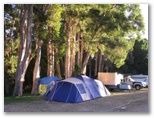BIG4 Harrington Beach Holiday Park - Harrington: Area for tents and camping