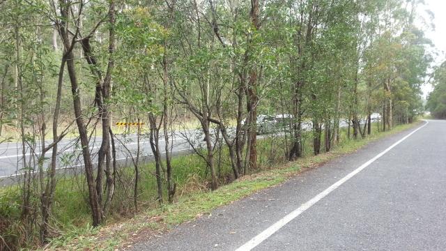Beekeepers Rest Area - Harwood: View of adjacent highway.