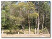 Mororo Rest Area - Harwood: Natural bushland beside the rest area.