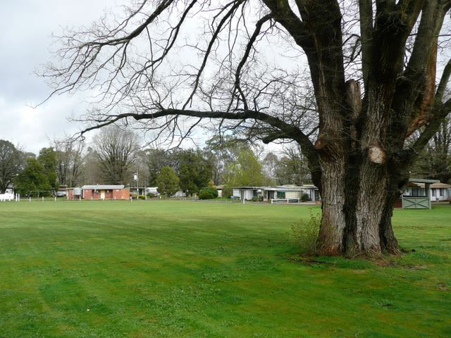 Queen Meadow Caravan Park - Heathcote: Area for tents and camping