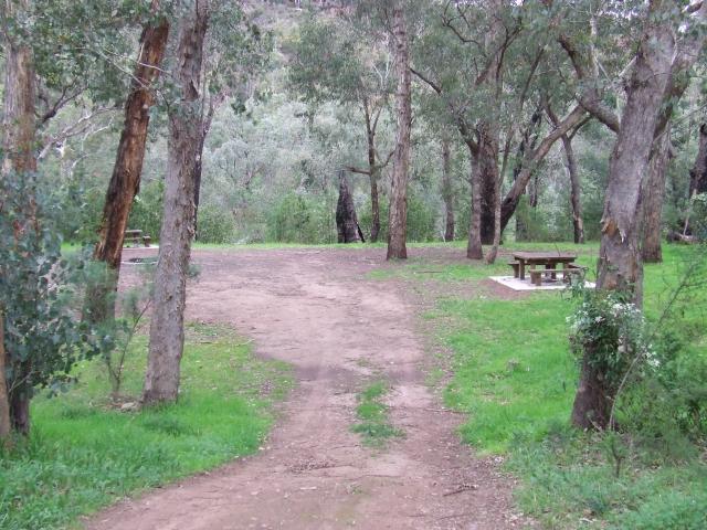Muttonwood Camping Ground - Heyfield: middle camp area