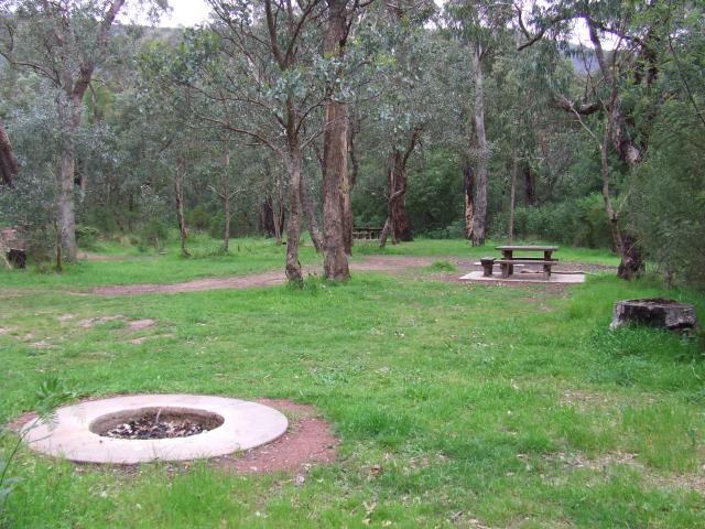 Muttonwood Camping Ground - Heyfield: western end of camp area.