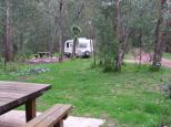 Muttonwood Camping Ground - Heyfield: Currawong camp eastern end