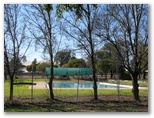 Hillston Caravan Park - Hillston: Hillston swimming pool in park adjacent to Caravan Park