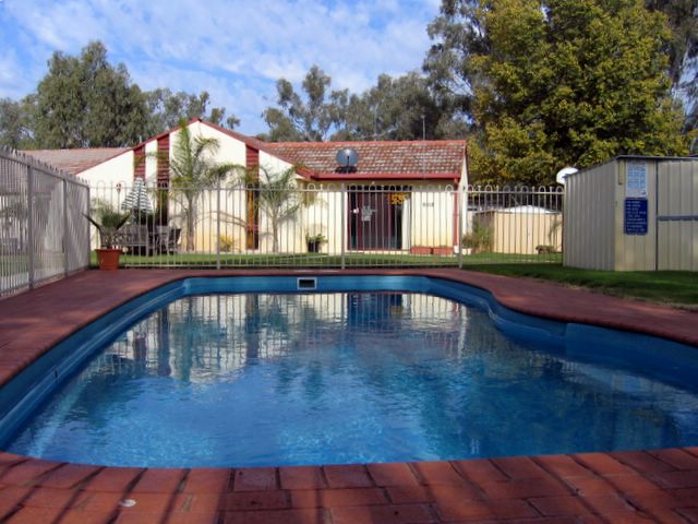 Howlong Caravan Park - Howlong: Swimming pool with office in the background