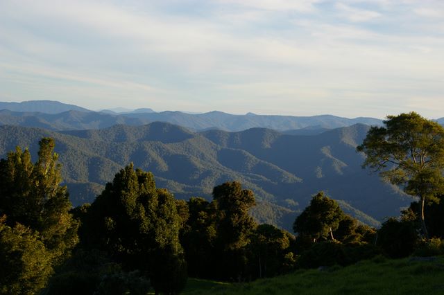 Hungry Head Cabins - Hungry Head: Dorrigo mountains and valleys are only a short drive from Hungry Head