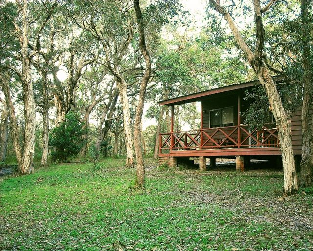 Hungry Head Cabins - Hungry Head: Cottage in delightful bushland setting