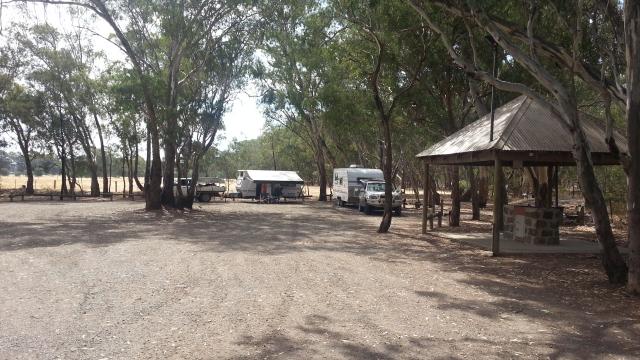 Huntly Lions Park - Huntly: Shady sites for caravans.