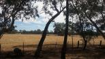 Huntly Lions Park - Huntly: Pleasant views from the rest area.  Relax with a view of the countryside.