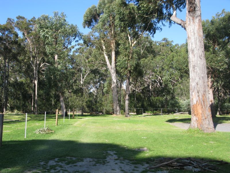Jervis Bay Caravan Park - Huskisson: Area for tents and camping