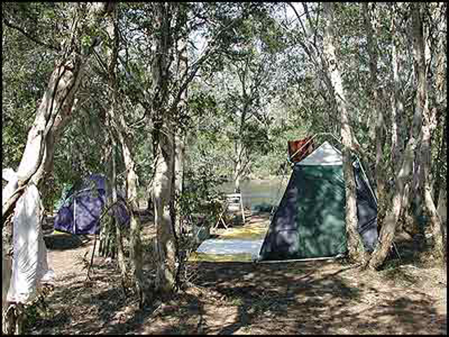 Jervis Bay Cabins & Camping - Huskisson: Camping by the creek