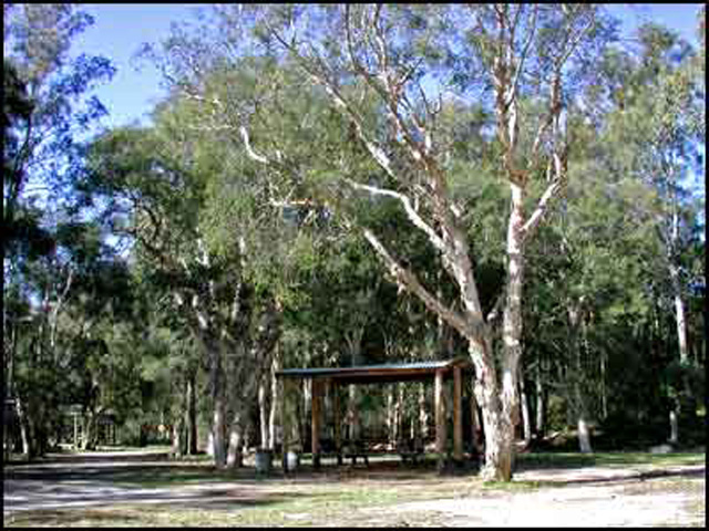 Jervis Bay Cabins & Camping - Huskisson: Sheltered picnic area