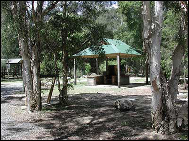 Jervis Bay Cabins & Camping - Huskisson: Sheltered outdoor BBQ