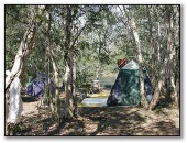 Jervis Bay Cabins & Camping - Huskisson: Camping by the creek