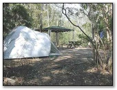 Jervis Bay Cabins & Camping - Huskisson: Camping in natural bushland