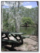 Jervis Bay Cabins & Camping - Huskisson: jervis_bay_cabins_and_camping_huskisson_nsw_picnic.jpg