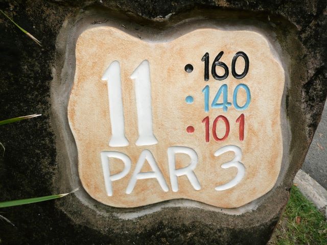 Hyatt Regency Coolum Golf Course - Coolum: Hole 11 Par 3