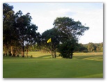 Iluka Golf Course - Iluka: Green on the 6th hole