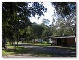 Woombah Woods Caravan Park - Woombah: The park has a nice bushland feel about it