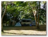 Island Reach Camping Resort - Imbil: Camping among the trees beside the river