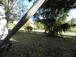 Inverell Caravan Park - Inverell: View towards river from awning