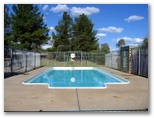 Fossickers Rest Tourist Park - Inverell: Swimming pool