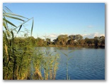 Fossickers Rest Tourist Park - Inverell: Lake Inverell Reserve is only a short walk from the caravan park